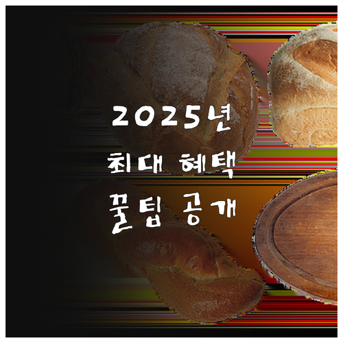 울산 2025 산모신생아 재가돌봄 서..