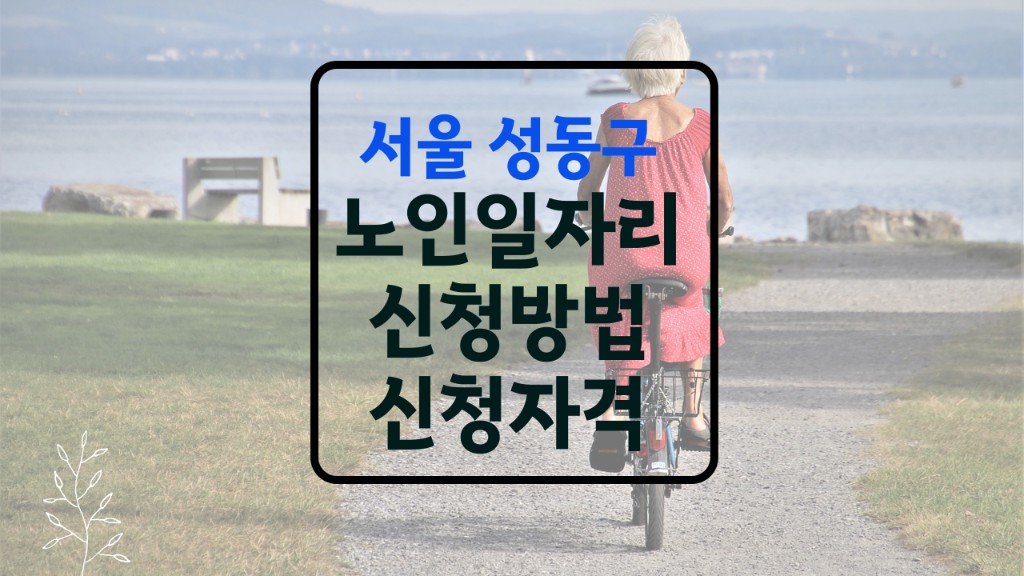 성동구 노인일자리