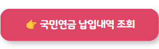 노령연금수급자격 국민연금 납입내역 조회