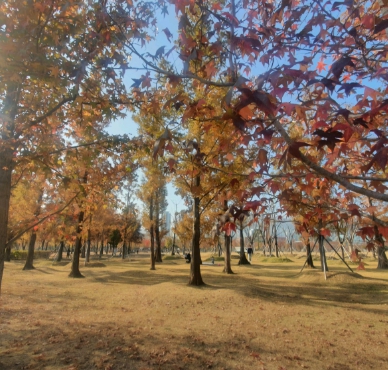 부산 아이와 놀러 갈만한 곳