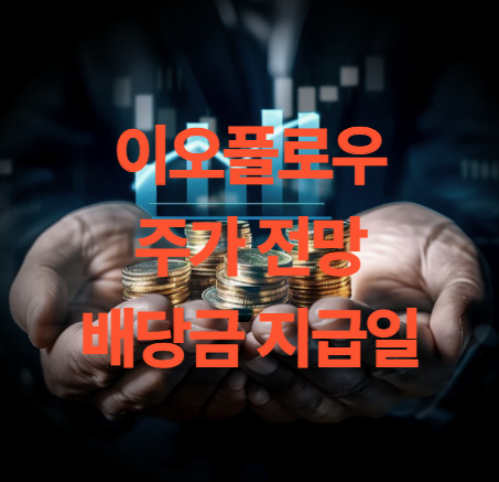 이오플로우 주가 전망 목표주가 미국소송 결과 배당금 PER PBR