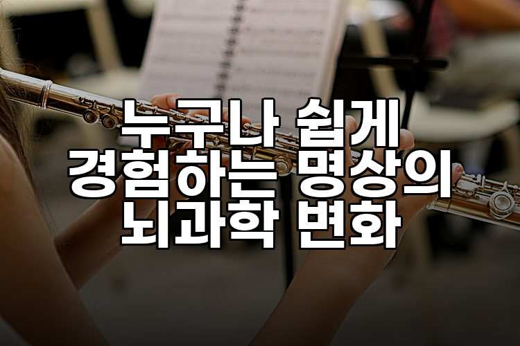 누구나 쉽게 경험하는 명상의 뇌과학 변화