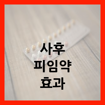 사후 피임약 효과