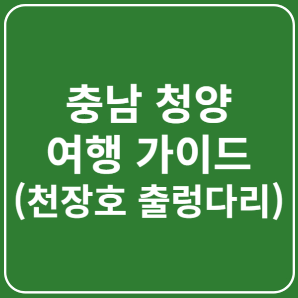 천장호 출렁다리 주차장, 운영시간, 이용팁 총정리 ❘ 충남 청양 여행