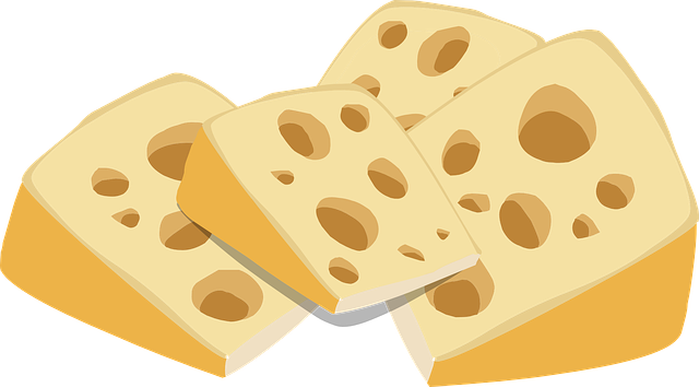 치즈는 정말 몸에 안 좋은 가공식품일까 자연치즈 vs 가공치즈 영양성분 완전 비교