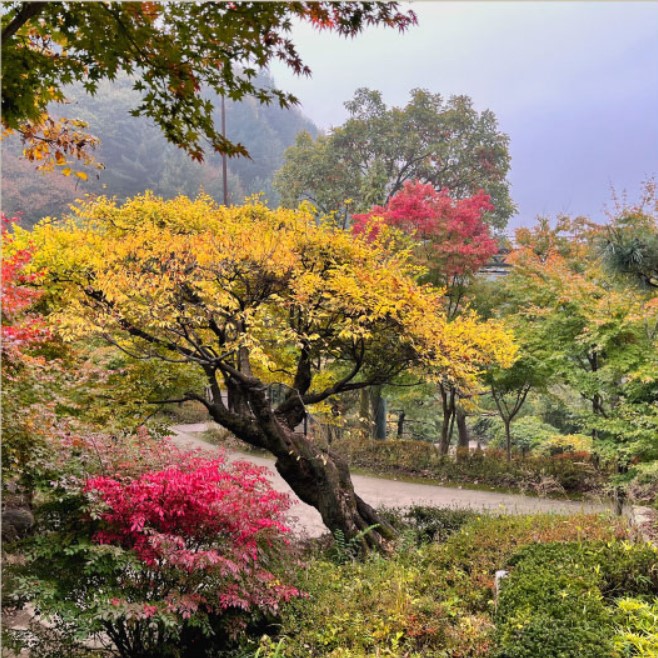 화담숲