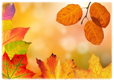 화담숲 가을 단풍 축제 기간 예약 입장료 방법