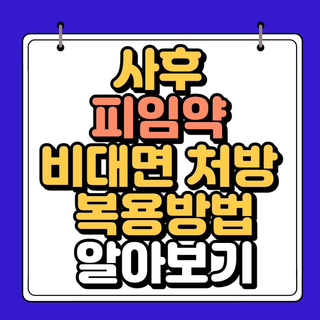 사후 피임약 비대면 처방받는법
