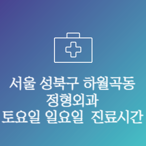 서울 성북구 하월곡동 주말 토요일 일요일 문여는 병원 진료시간