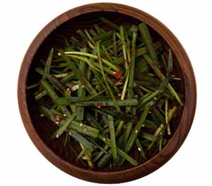 봄 제철 음식 부추겉절이