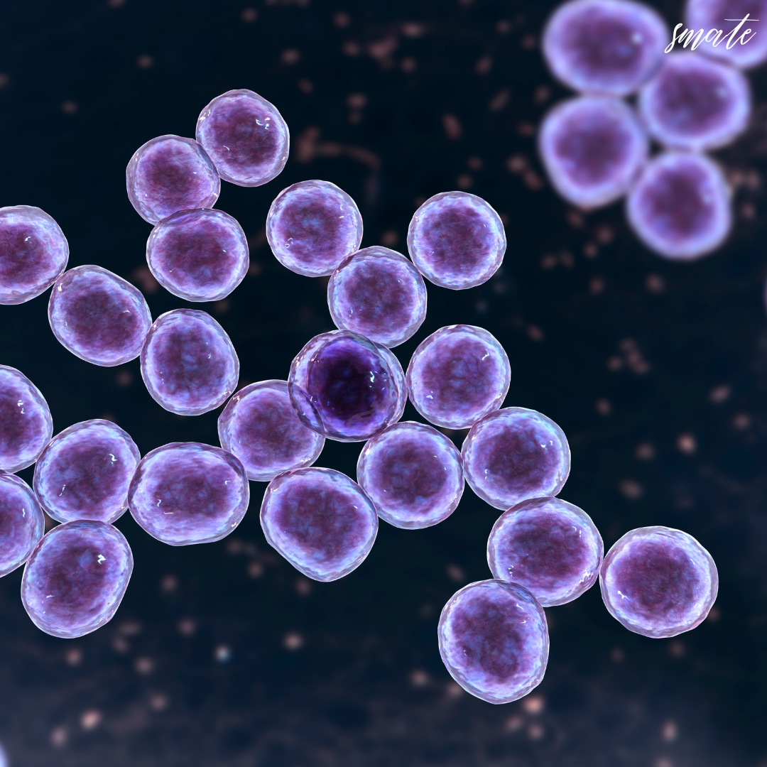 유용미생물들의 모습을 추상적으로 그린 이미지