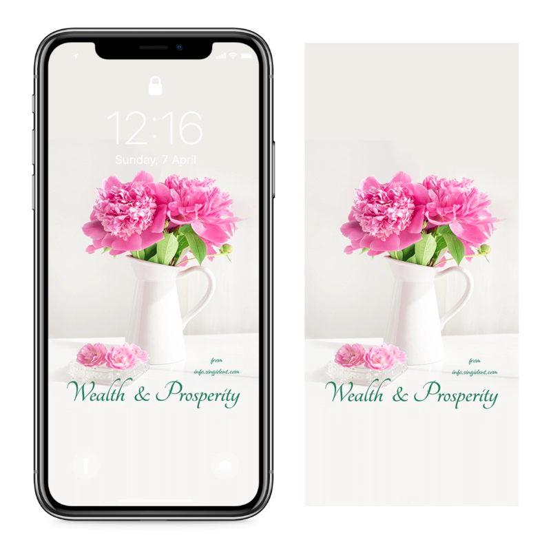 09 목단꽃 꽃병 C - Wealth and Prosperity 복들어오는배경화면