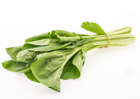 갑상선에 좋은 음식 16