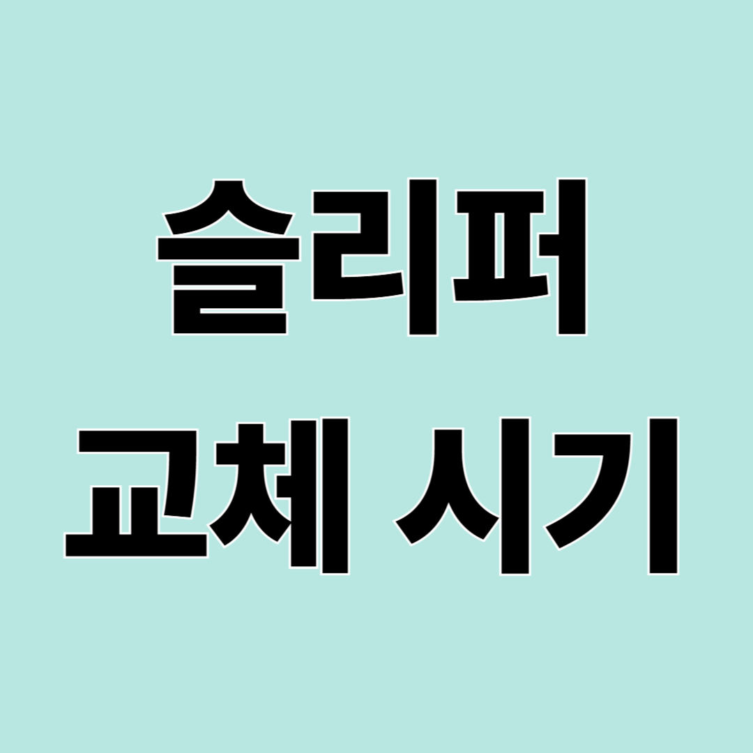 슬리퍼 교체 시기와 고르는 방법 &ndash; 발 건강을 위한 슬리퍼 선택 기준