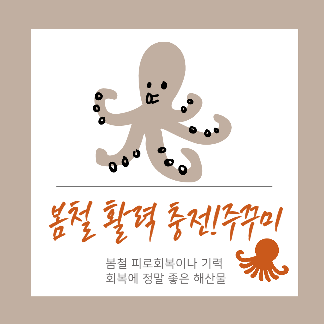 주꾸미 효능 & 간단한 요리법