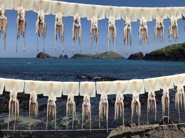 농림어업총조사&amp;#44; 국가의 농업&middot;임업&middot;어업 구조를 파악하는 가장 중요한 조사