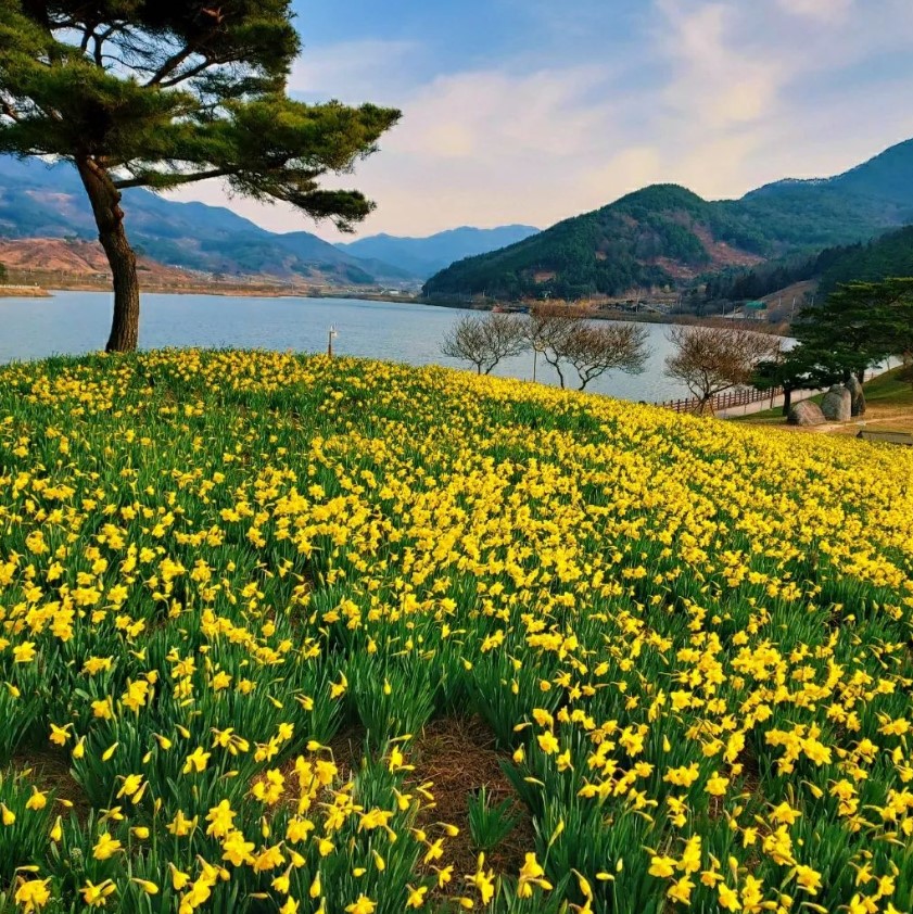 3월 국내 여행지 추천