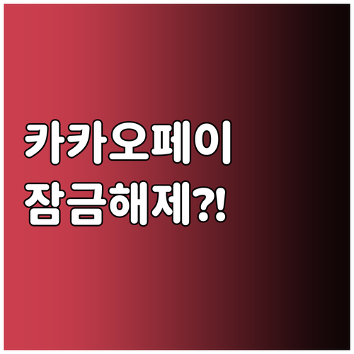 카카오페이 비밀번호 오류 잠금 해제 ..