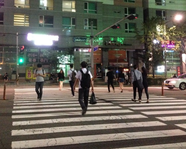 면허 정지 벌점 조회
