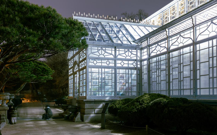 창경궁 물빛연화