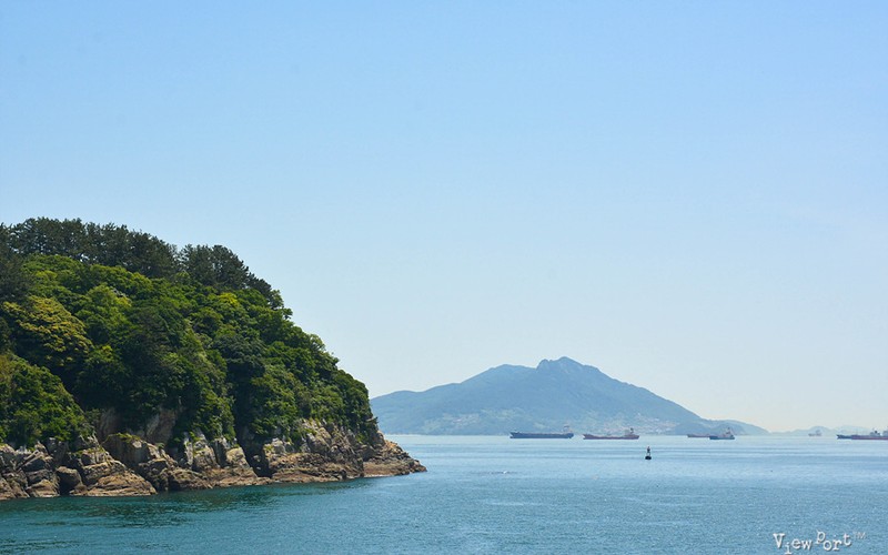 여수오동도 산책 - 오동도공영주차장요금 및 동백열차 시간 할인 총정리 -