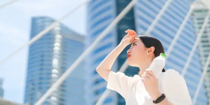 일사병 열사병 관련 사진