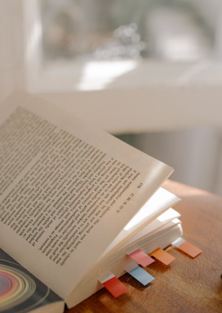 빈도 부사 always / usually / often / sometimes / never 위치 완벽 정리 