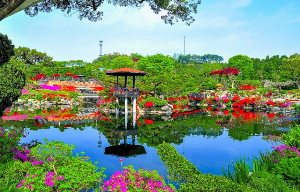 베어트리파크 봄꽃축제