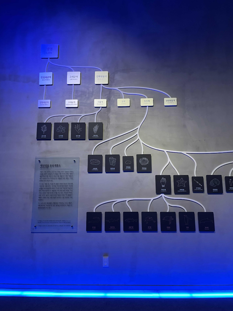 장항 국립해양생물자원관 씨큐리움