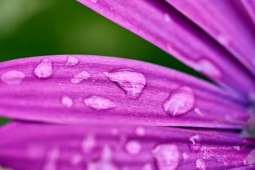 상생소비지원금