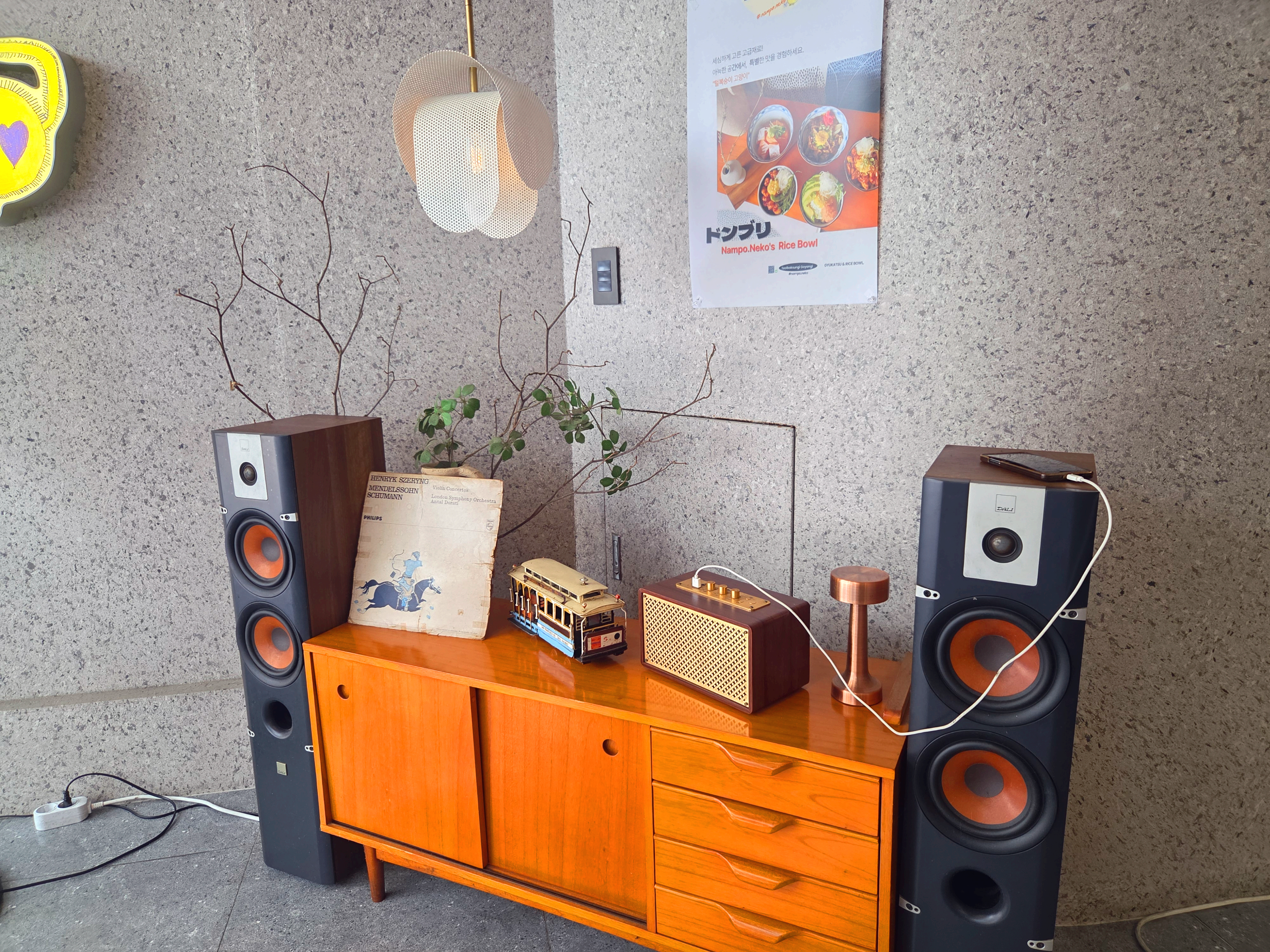 털복숭이고양이