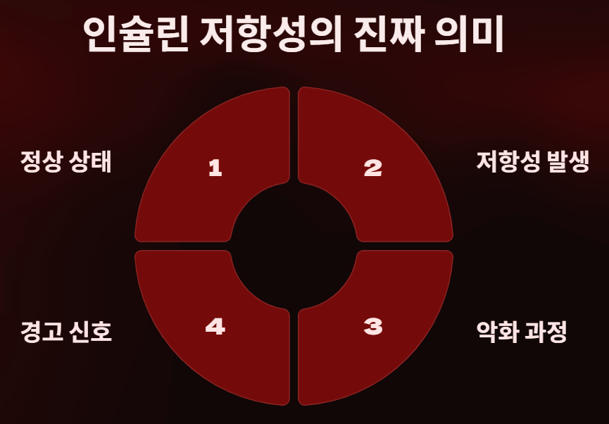 당뇨약 먹어도 혈당이 높다면? 인슐린 저항성? 해결방법