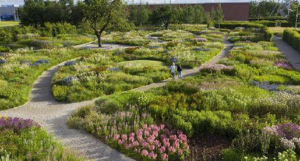 고양국제꽃박람회