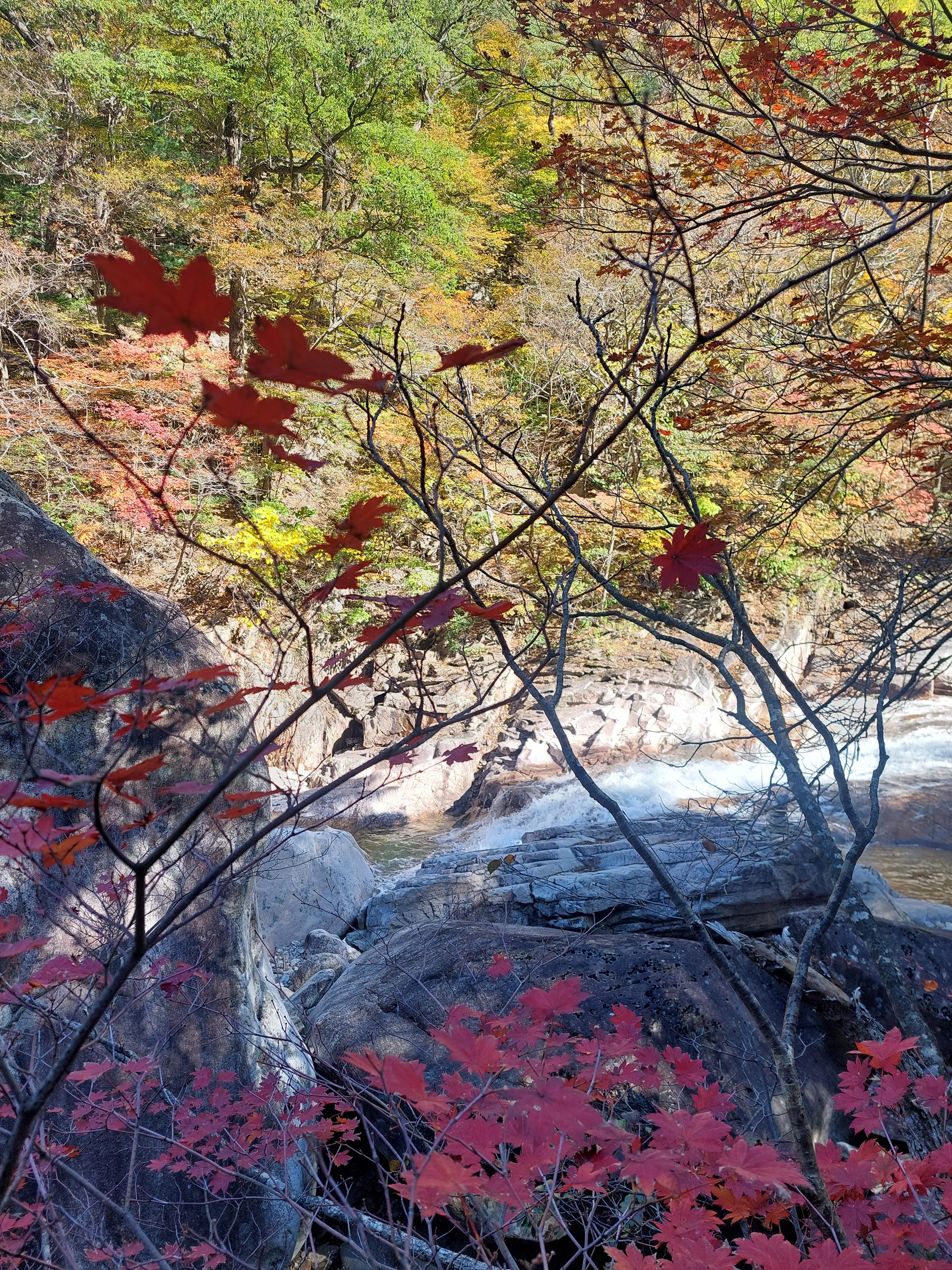 설악산
