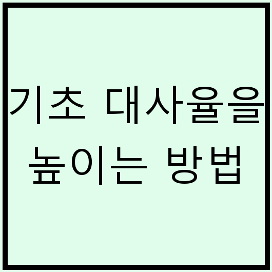 기초 대사율을 높이는 방법