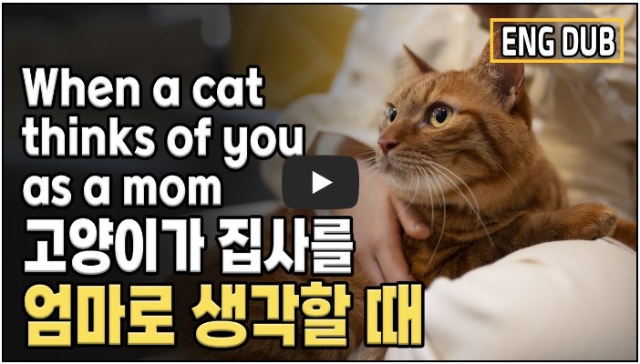 수의사 유튜버 추천 순위 TOP 10 9