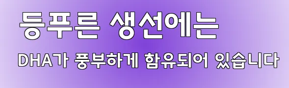  등푸른 생선에는 DHA가 풍부하게 함유되어 있습니다