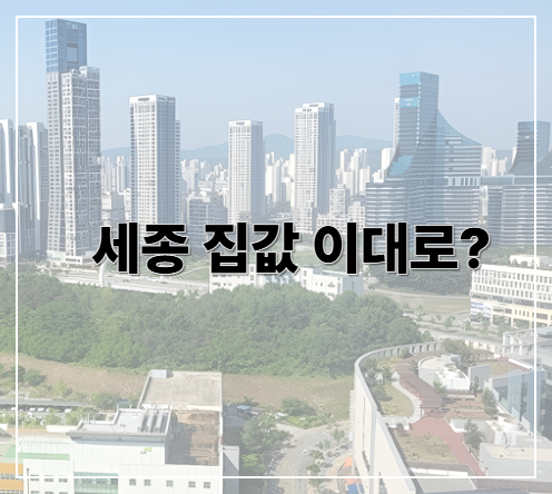 세종 집값 이대로?