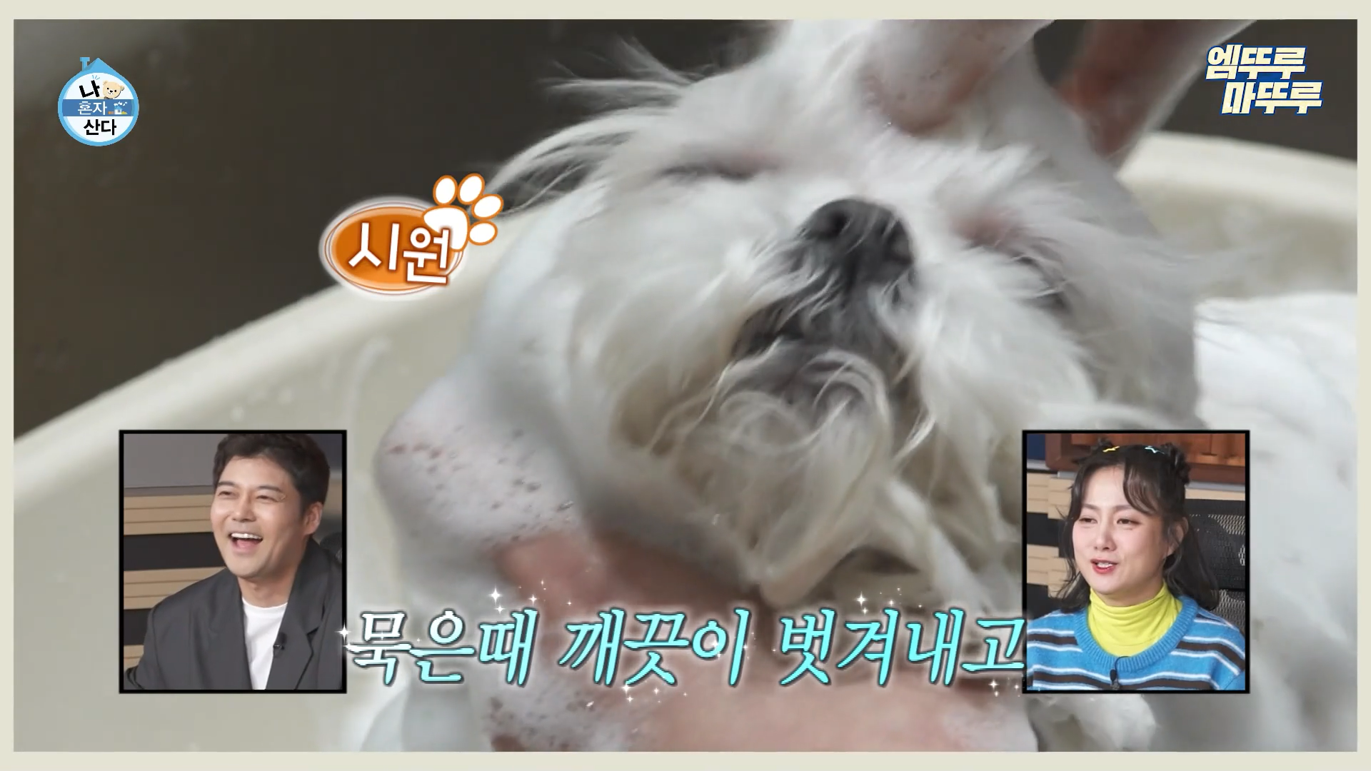 나혼자산다 584회