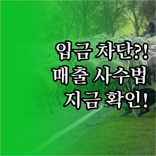 생계비 전용 계좌 사업자 매출 입금 ..