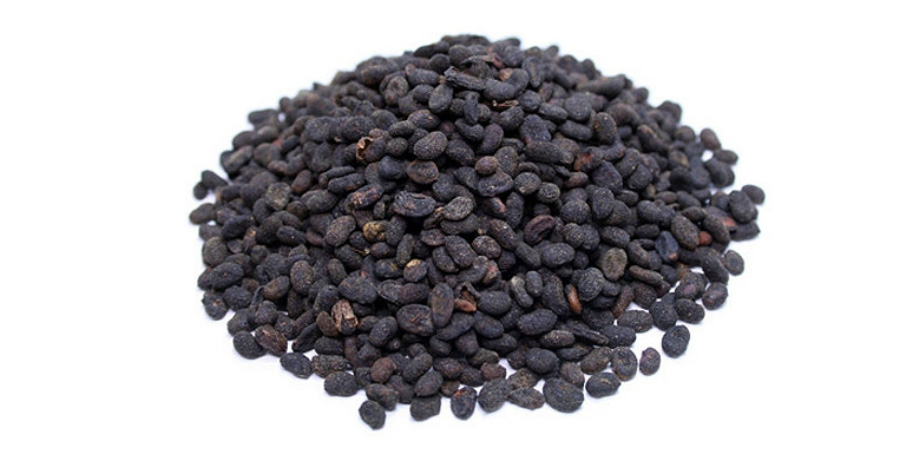 야생에서 채취를 한 파고지를 깨끗하게 세척하고 건조시킨 것을 하얀 바닥 위에 한움큼 수북하게 놓아두고 찍은 사진