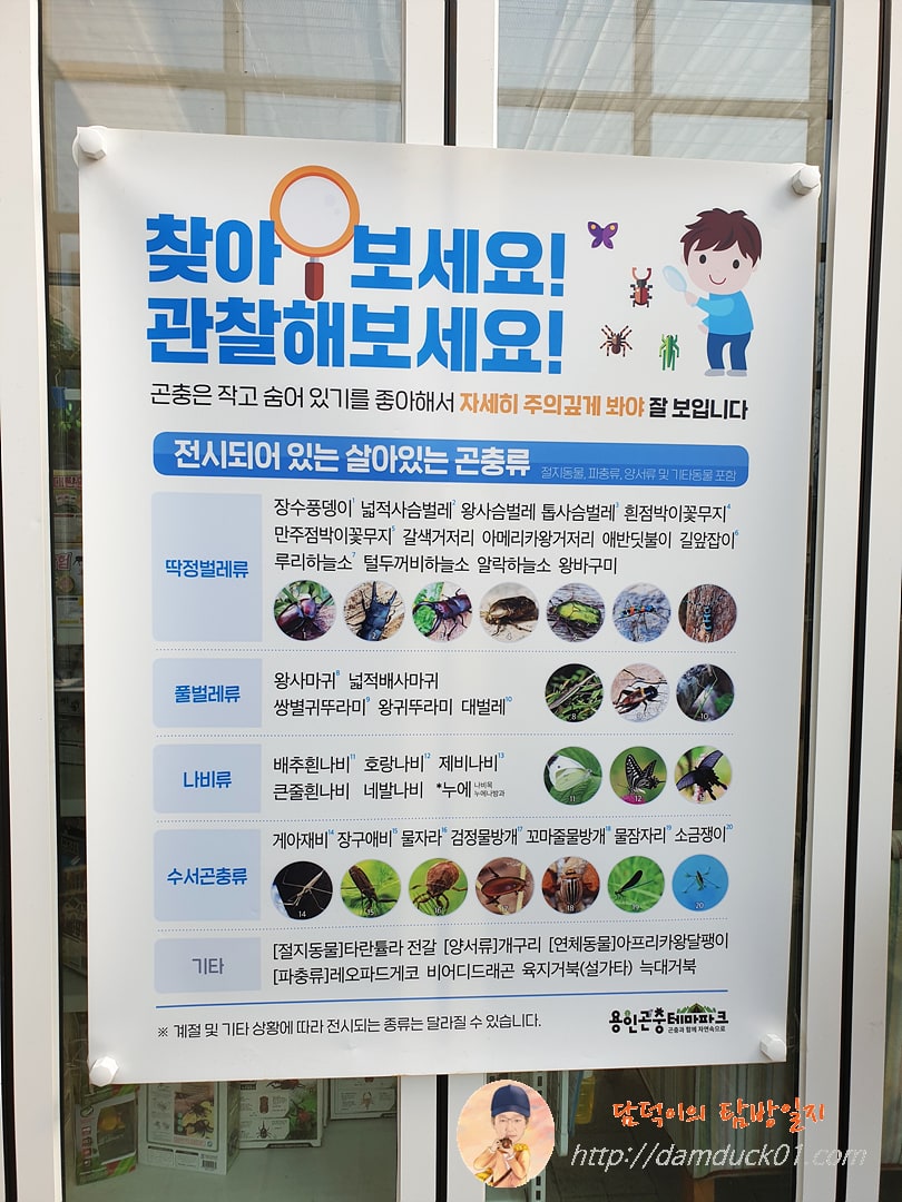 용인곤충테마파크 전시 곤충 안내