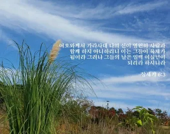 창세기 6장 타락한 세상에서 의인 노아처럼 구별된 거룩한 삶을 살아내길 바라는 내용과 묵상 기도_6