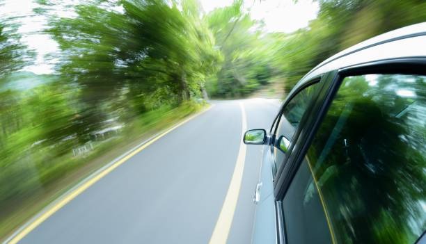 광복절-특별사면-운전면허