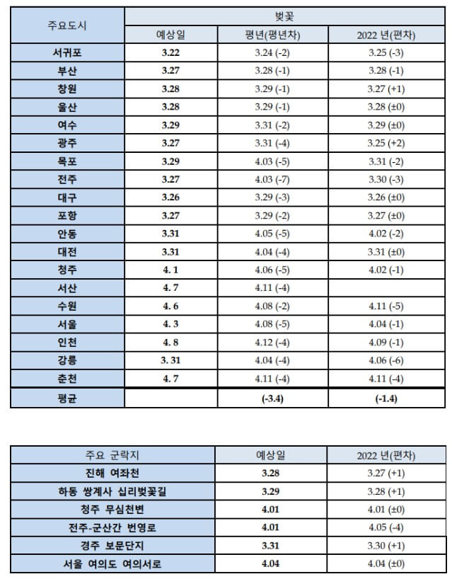 웨더아이 벚꽃개화 예측표