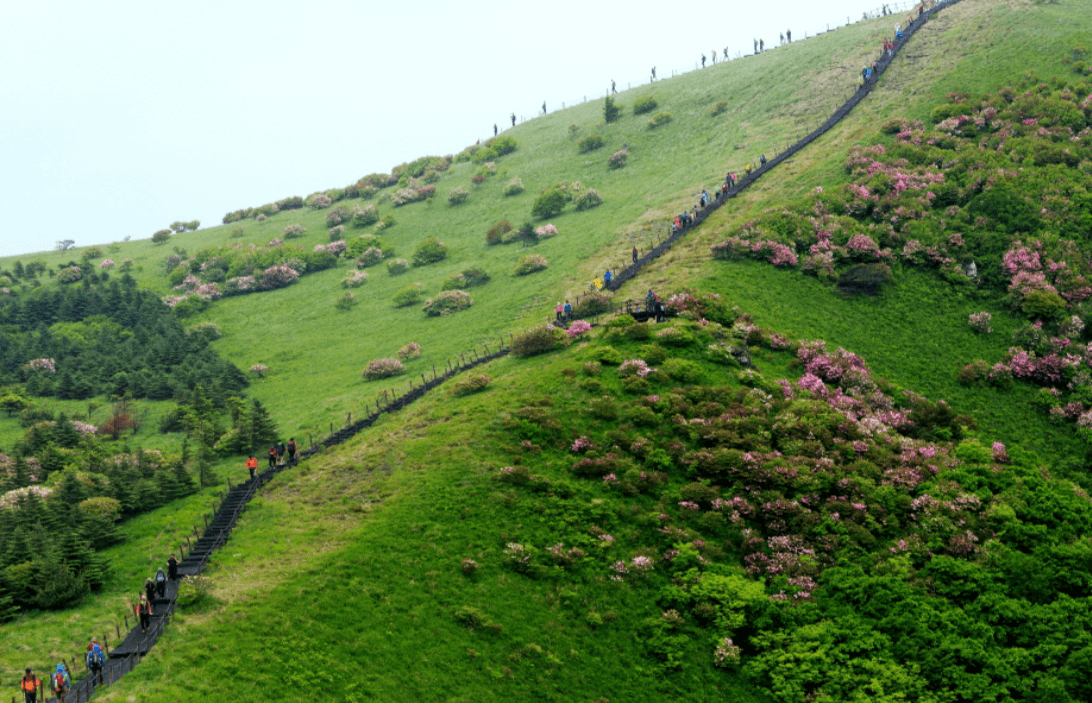 5월 여행하기 좋은 경상북도, 축제 일정 가볼만한 곳 추천
