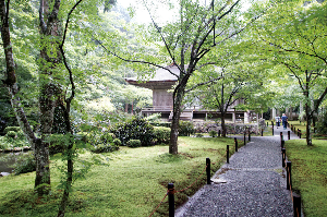 교토 여행 추천 산젠인
