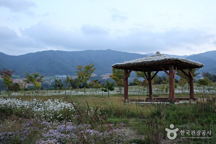 양구 가볼만한곳 베스트 10