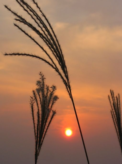 2025 경기도 단풍 명산 BEST ❘ 북한산&middot;남한산성&middot;광교산 등 추천 코스