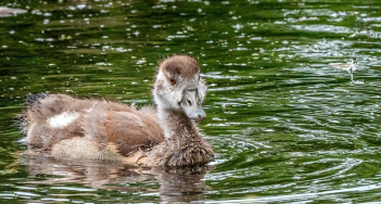 에너지 바우처 잔액조회 완벽 정리 16